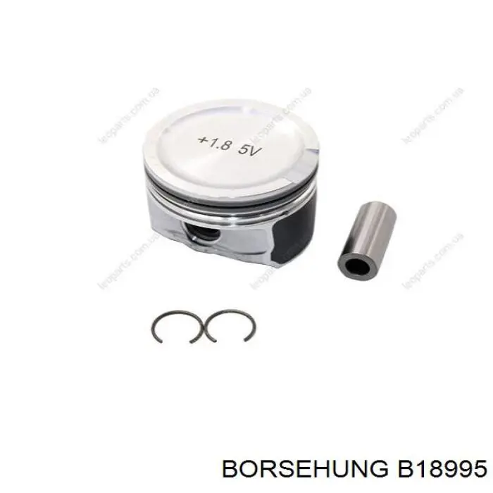  B18995 Borsehung