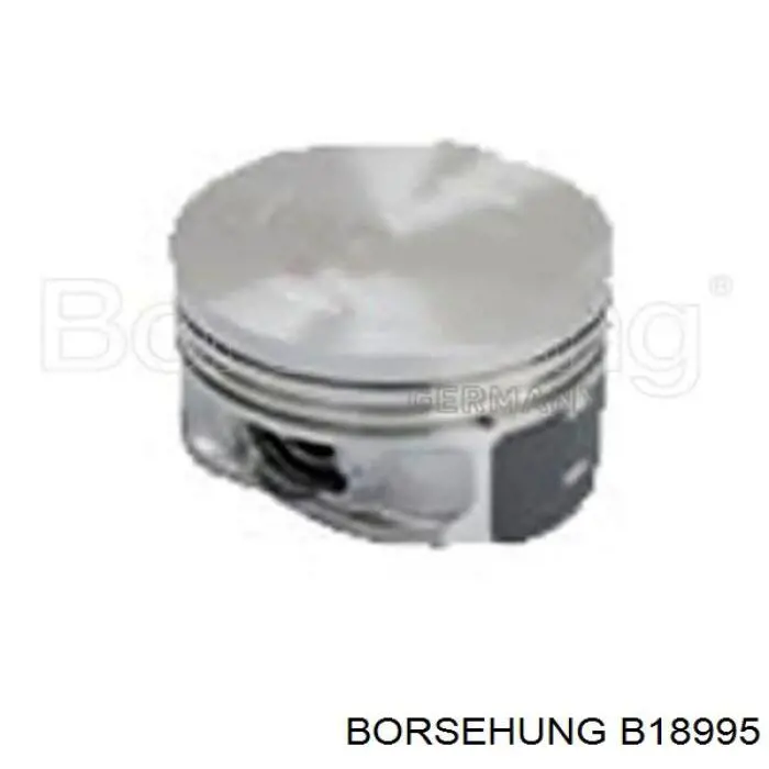  B18995 Borsehung