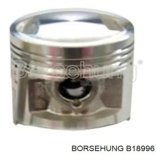 B18996 Borsehung