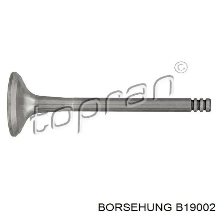 B19002 Borsehung