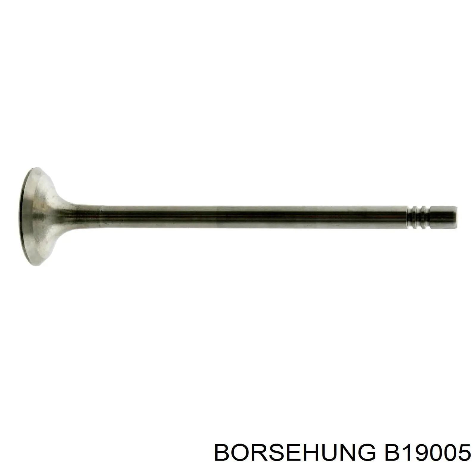 B19005 Borsehung клапан выпускной