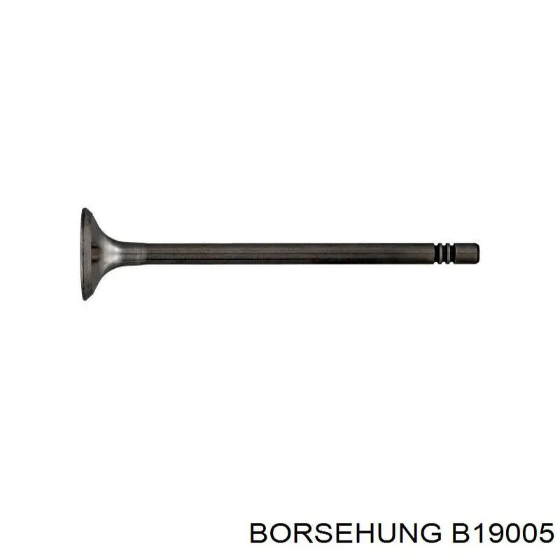 B19005 Borsehung