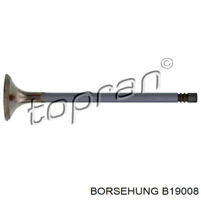 B19008 Borsehung