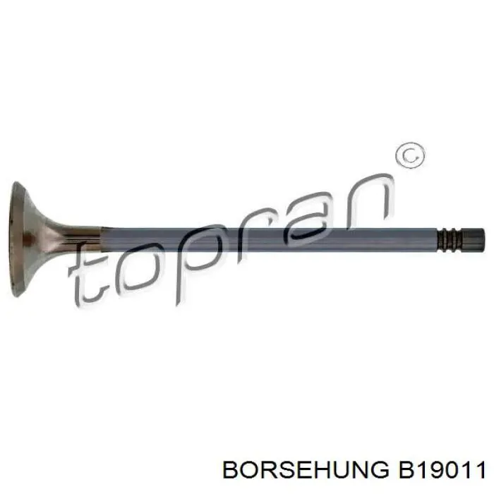 B19011 Borsehung