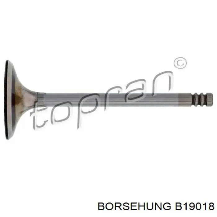 B19018 Borsehung клапан впускной