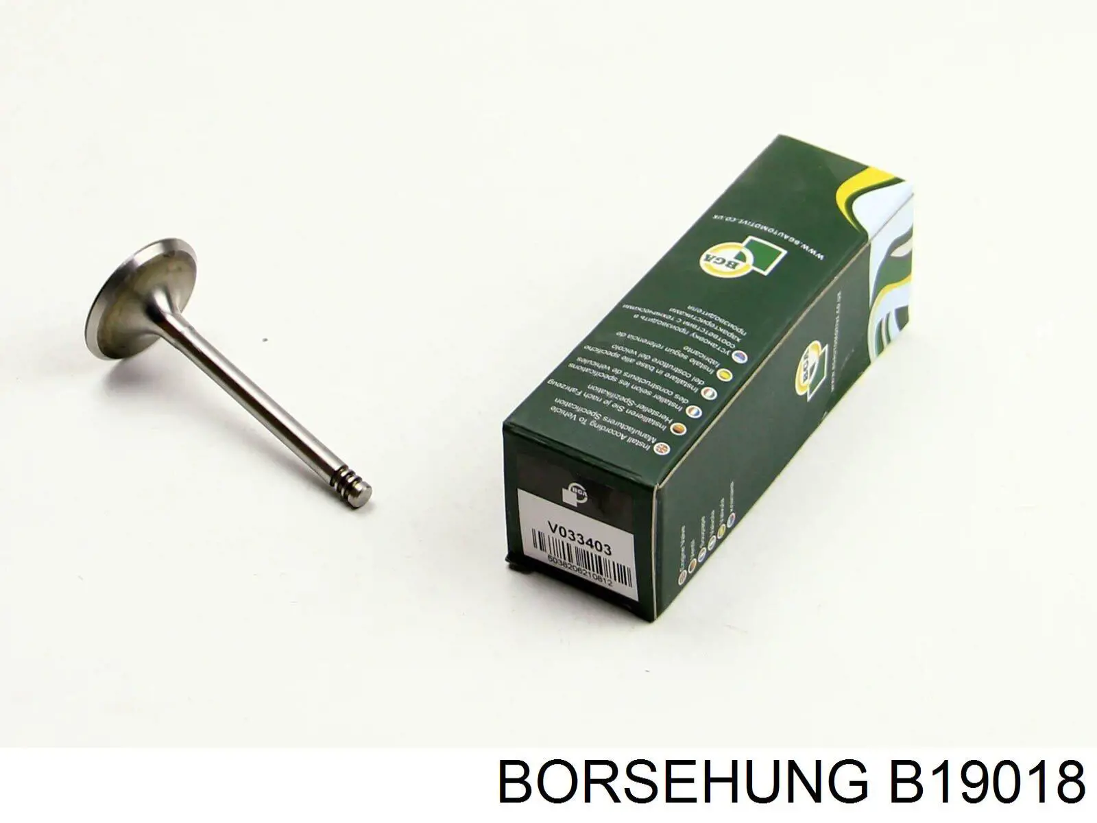 B19018 Borsehung