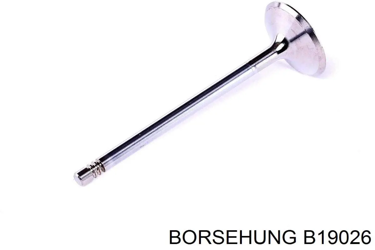 B19026 Borsehung