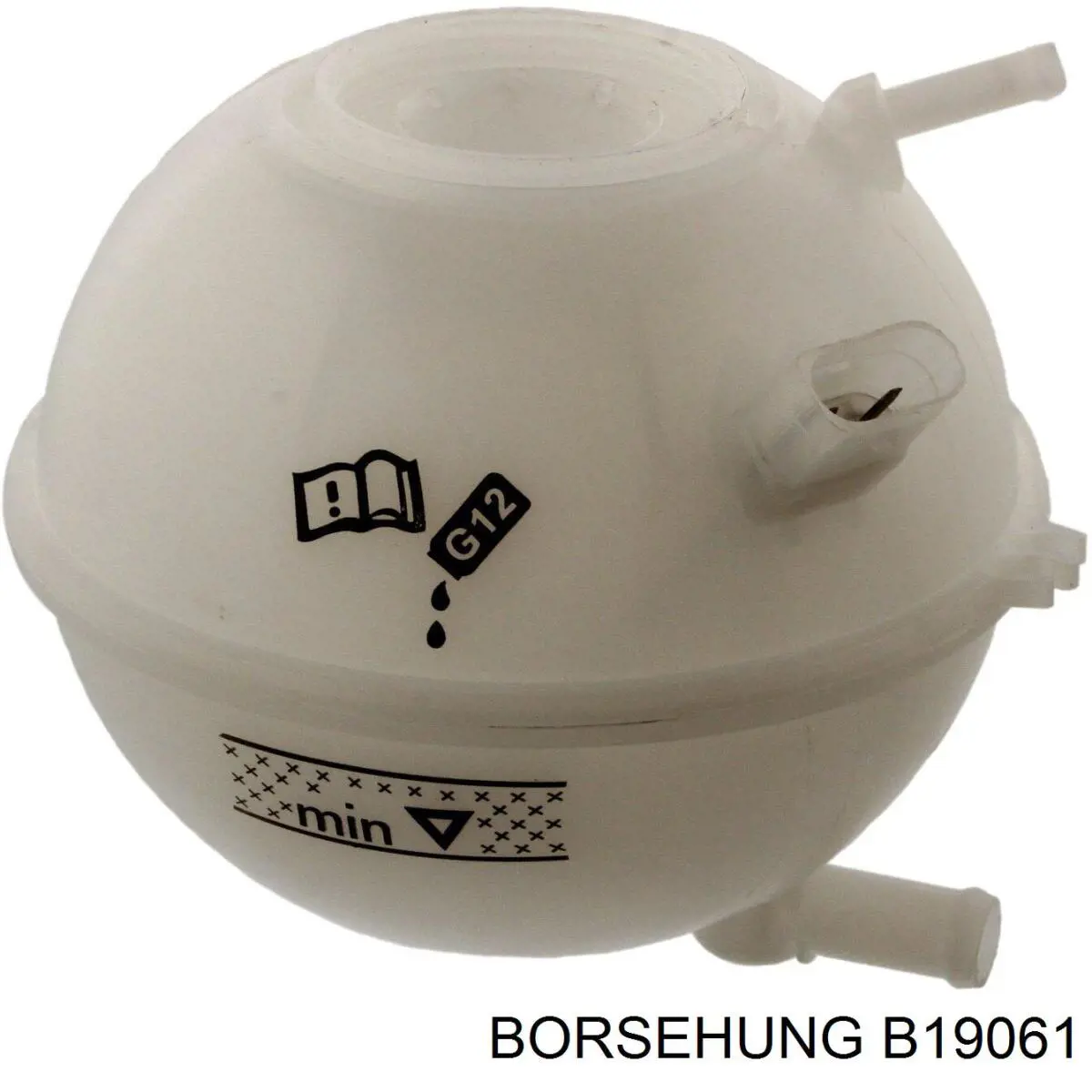 B19061 Borsehung