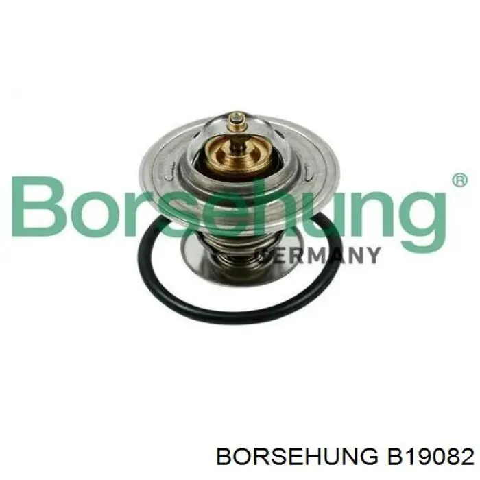 Шланг (патрубок) водяного насоса приемный Borsehung B19082 цена, от 11.02 USD
