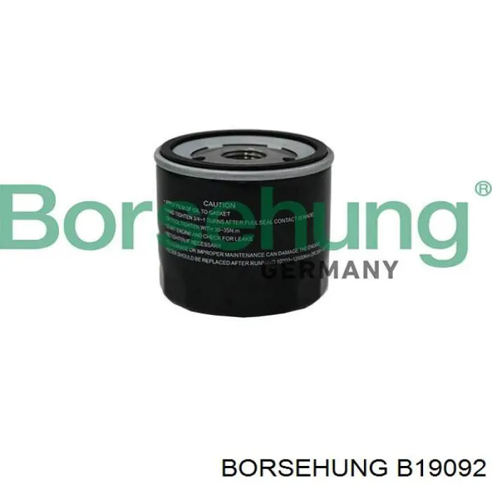 B19092 Borsehung