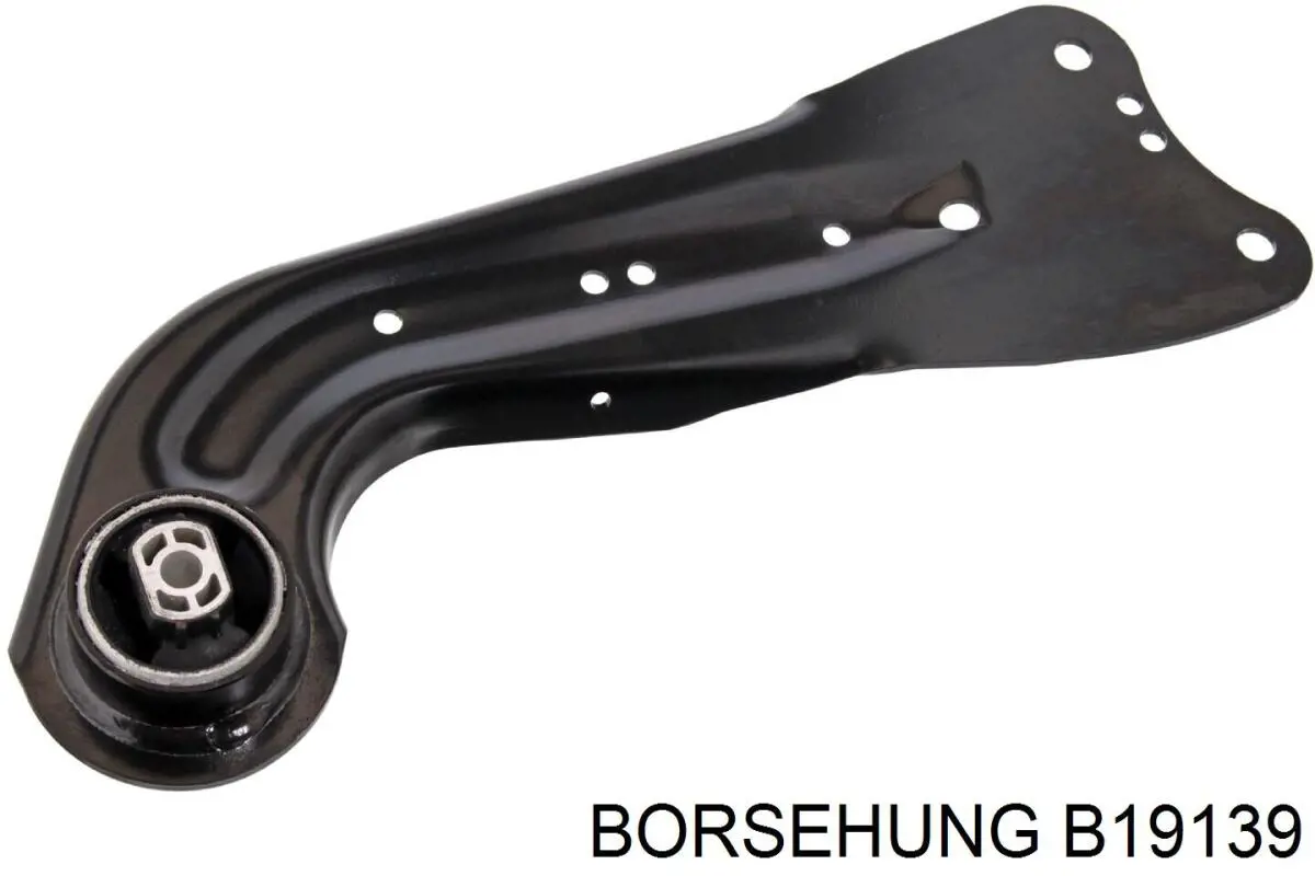 B19139 Borsehung