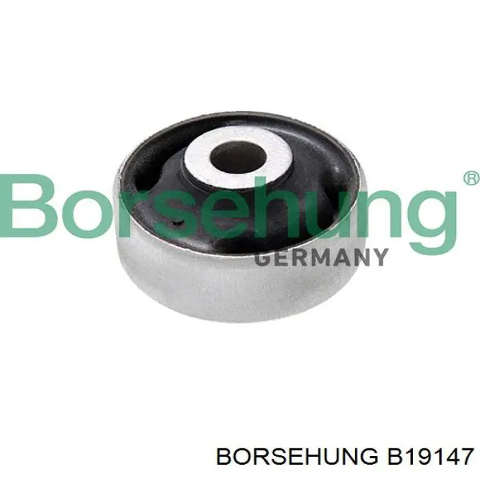 B19147 Borsehung