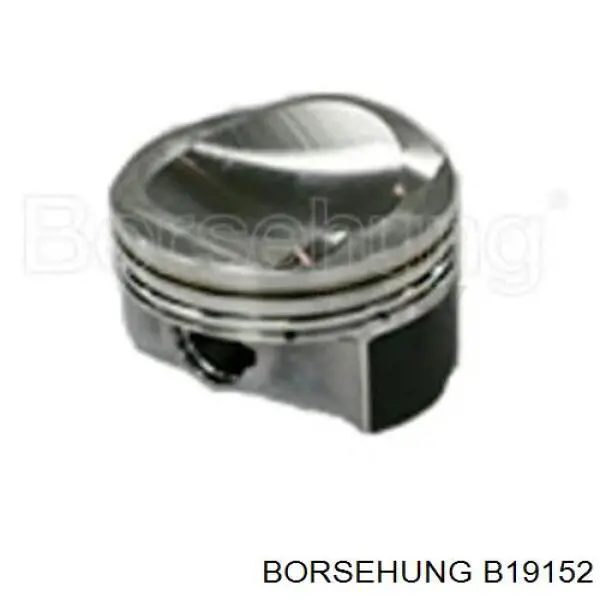 Купить B19152 Borsehung 