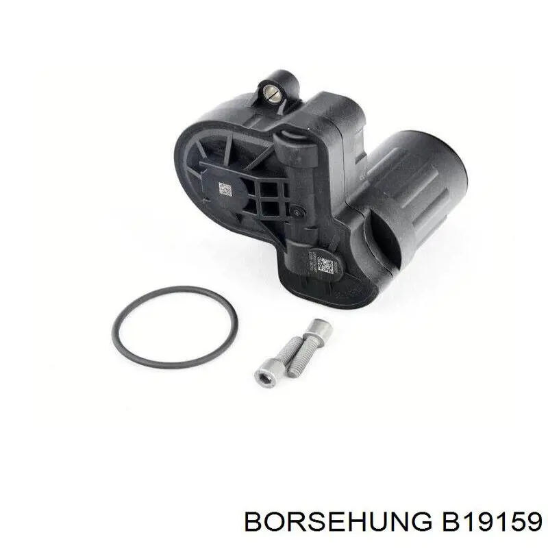 B19159 Borsehung