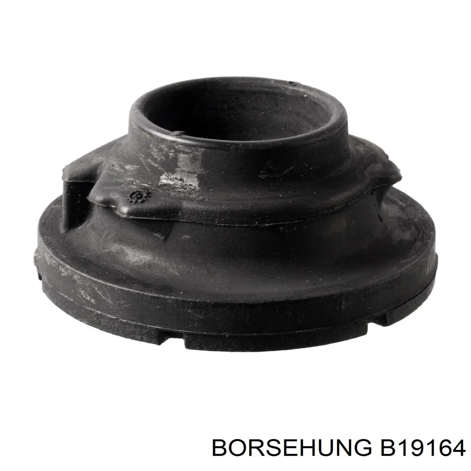 B19164 Borsehung