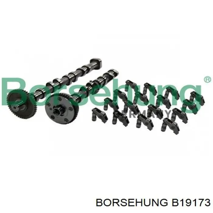 Распредвал двигателя, комплект Borsehung B19173 цена, от 503.55 USD