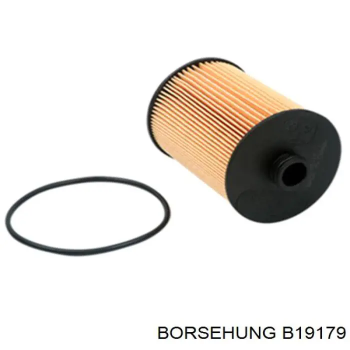 Фільтр-сіточка масляного насоса B19179 Borsehung