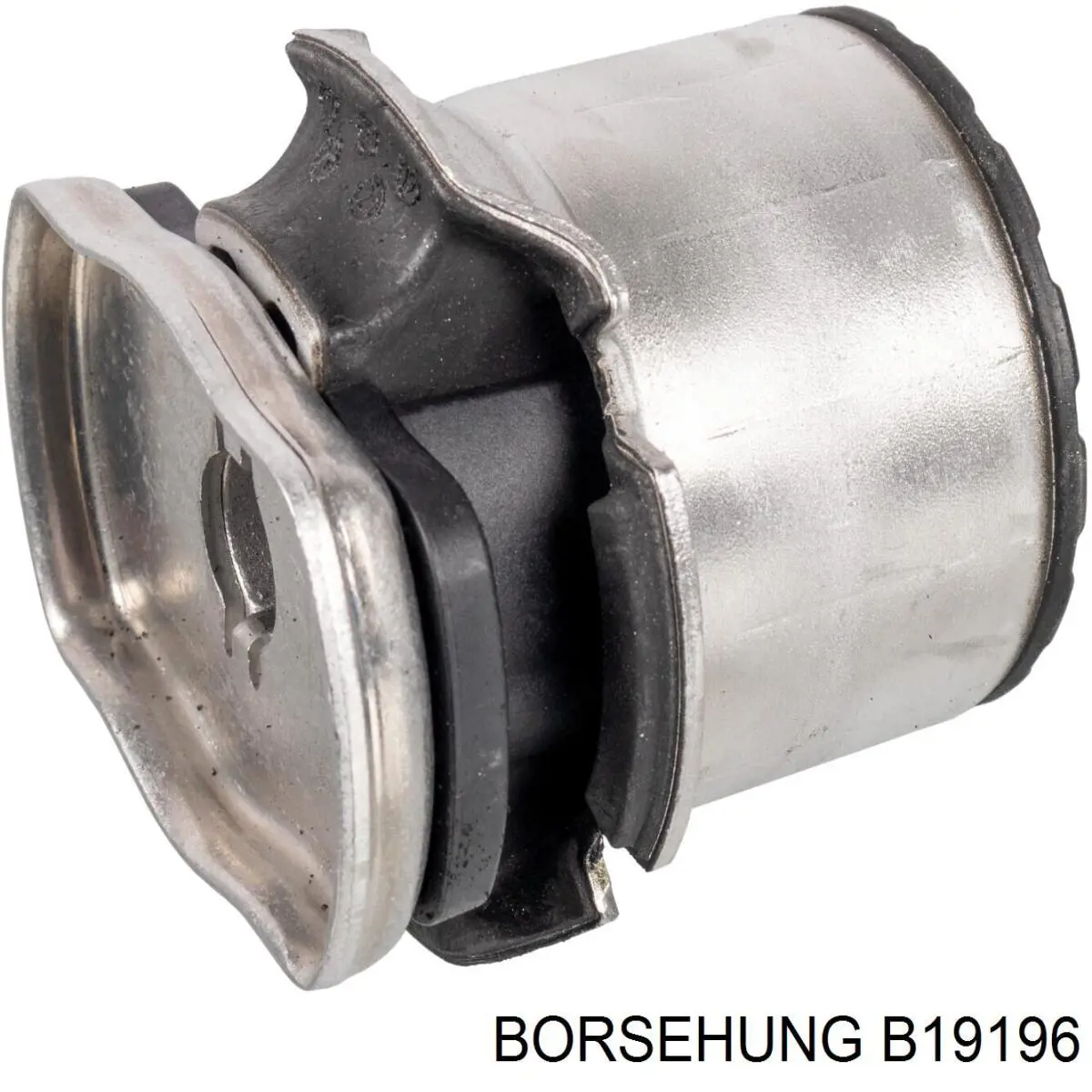 B19196 Borsehung