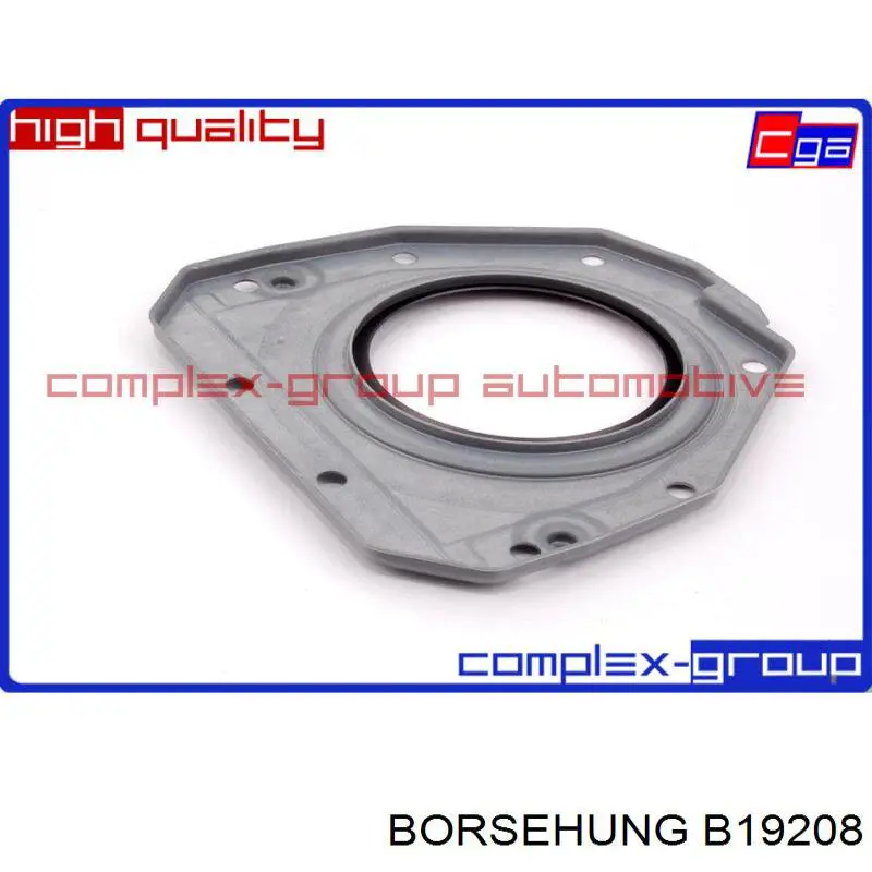 B19208 Borsehung