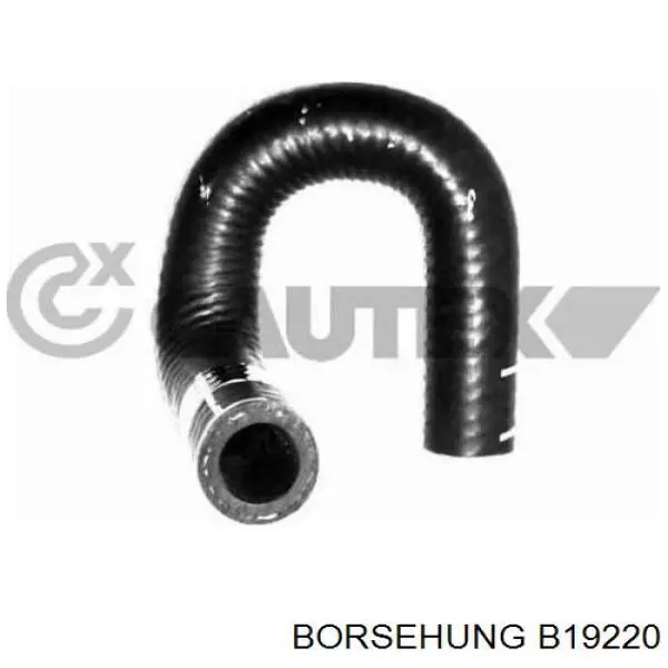 Купить B19220 Borsehung Трубка картера воздушная