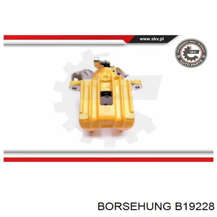 B19228 Borsehung