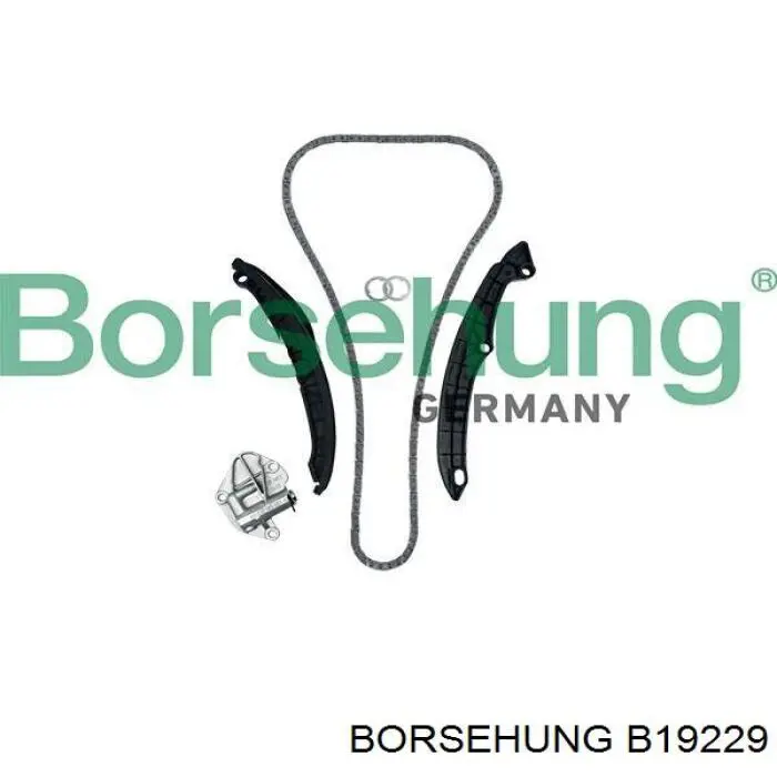 Комплект цепи ГРМ B19229 Borsehung