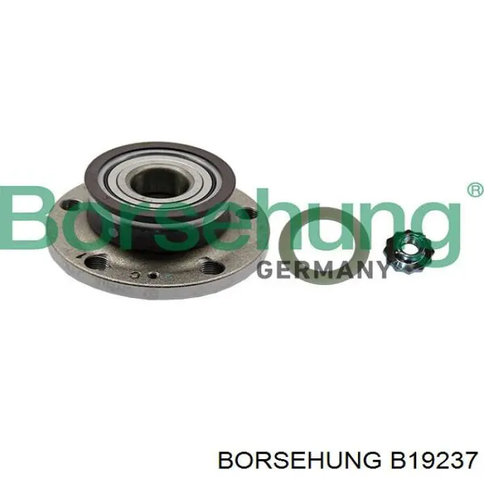 B19237 Borsehung cubo dianteiro