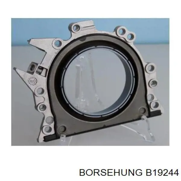 B19244 Borsehung 