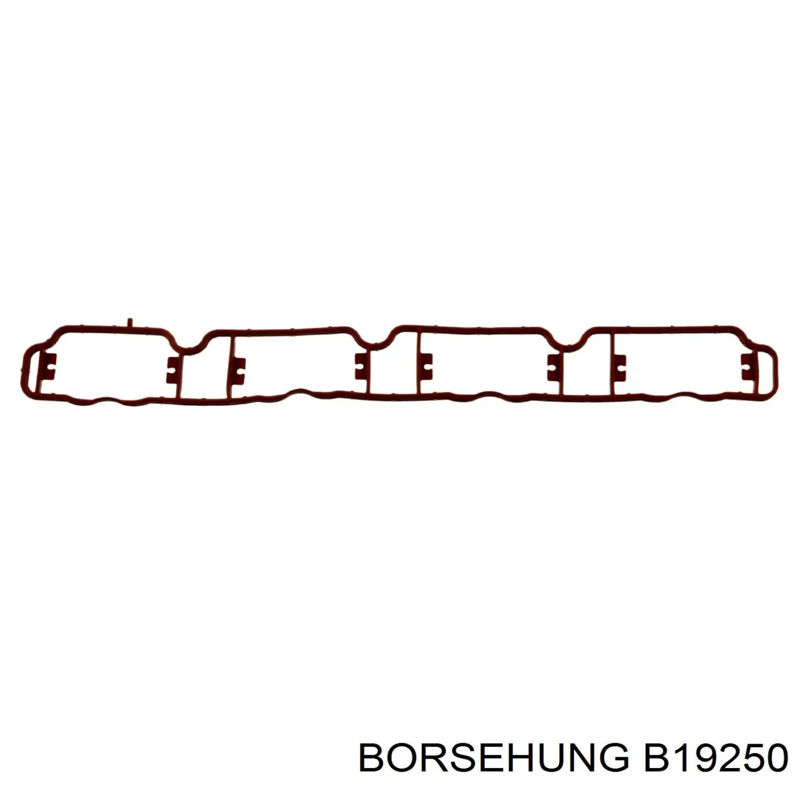 Прокладка впускного коллектора B19250 Borsehung