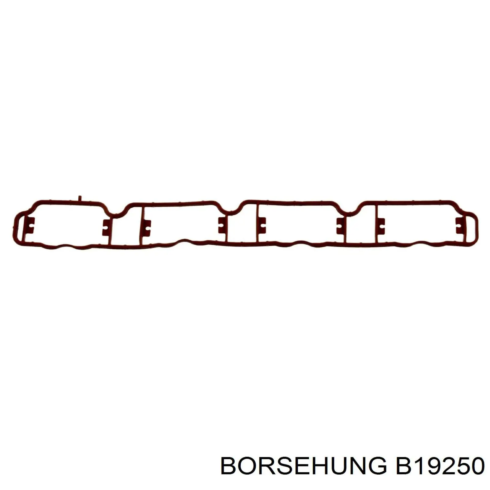 Прокладка впускного колектора B19250 Borsehung