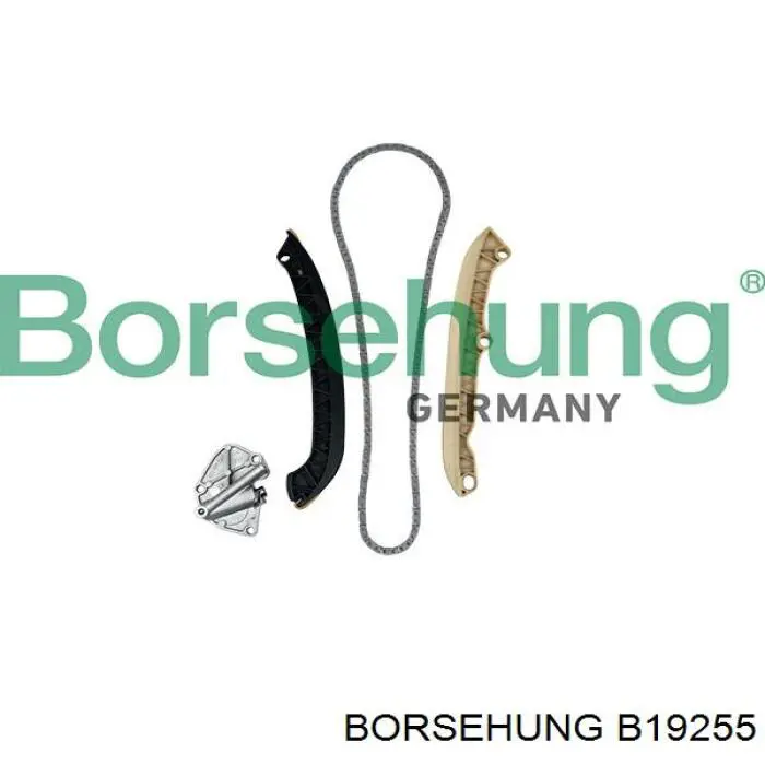 Купить B19255 Borsehung 