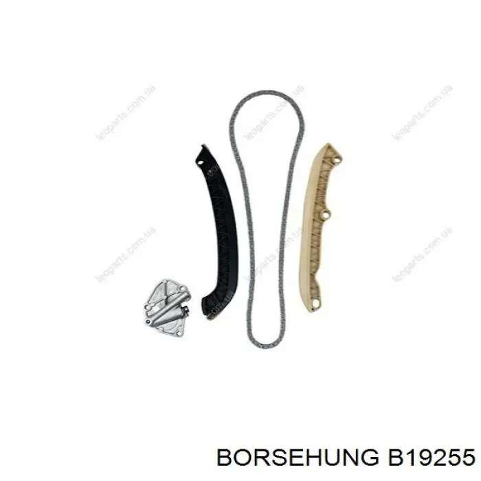 B19255 Borsehung 