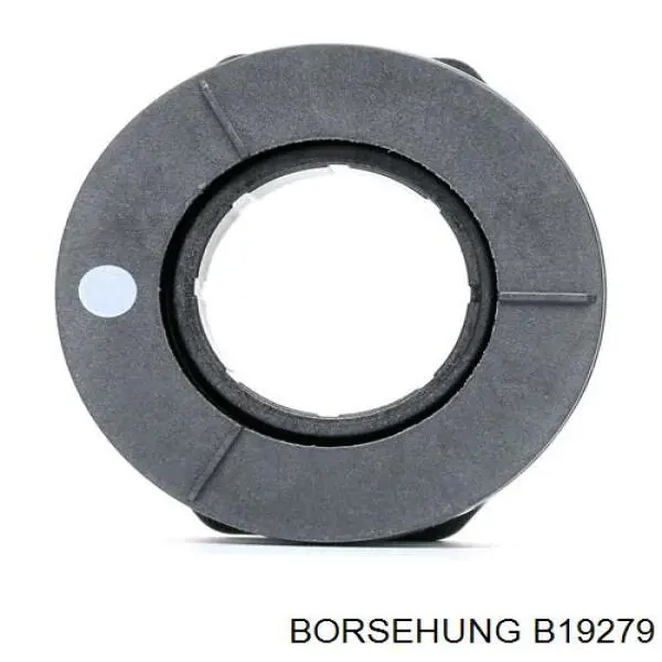 B19279 Borsehung