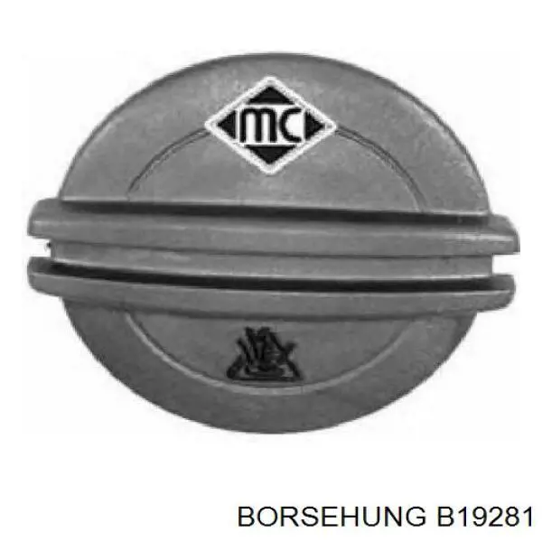 B19281 Borsehung