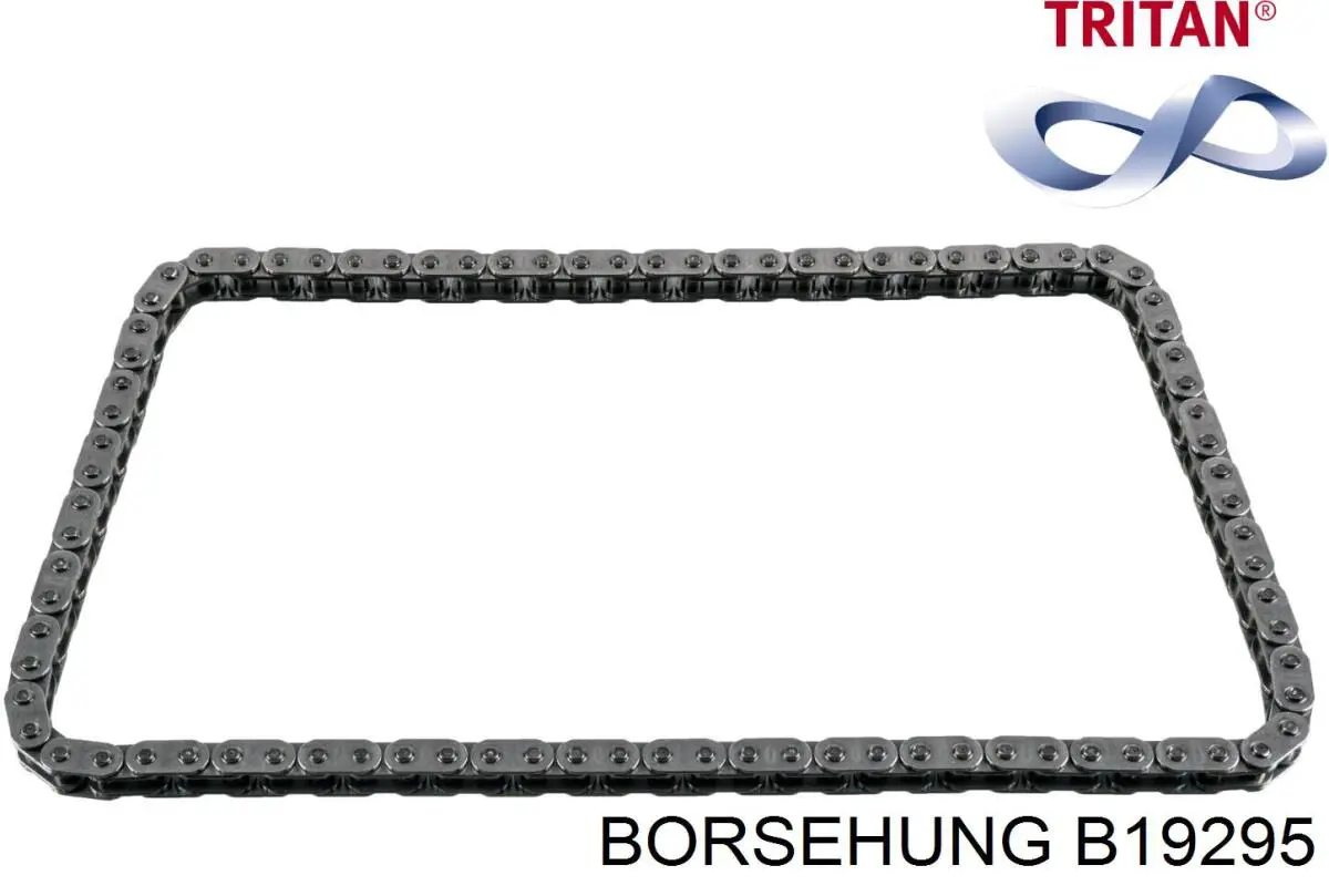 B19295 Borsehung