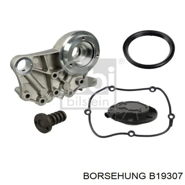 B19307 Borsehung