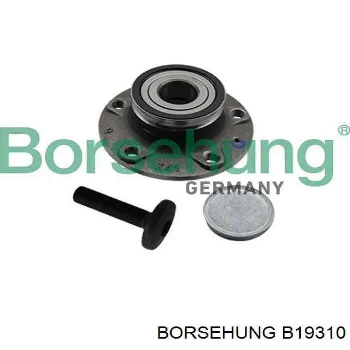 B19310 Borsehung Ступица задняя