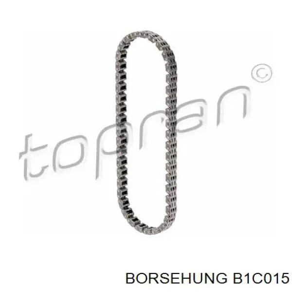 Купить B1C015 Borsehung 