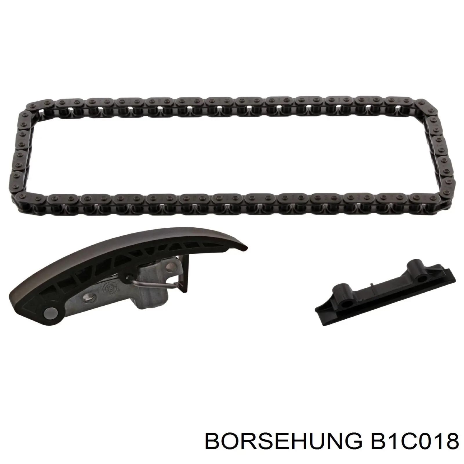 B1C018 Borsehung