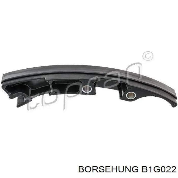 Carril de deslizamiento, cadena de distribución B1G022 Borsehung