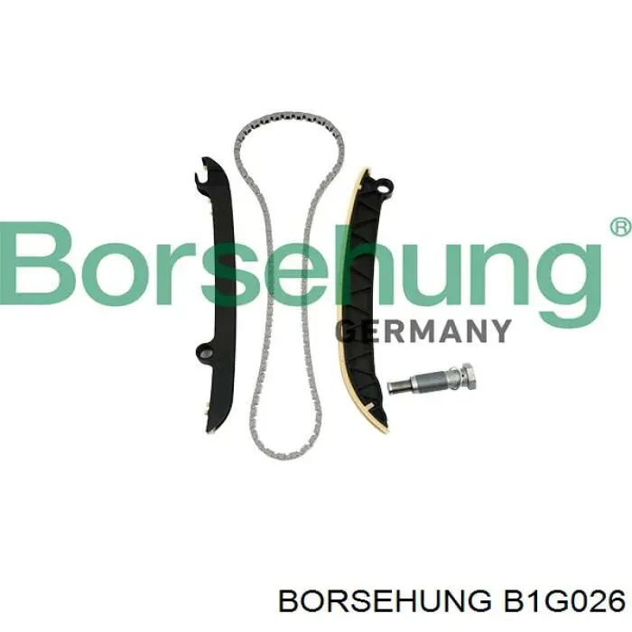 B1G026 Borsehung