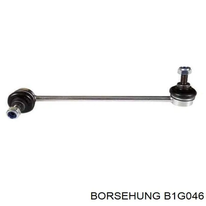 B1G046 Borsehung