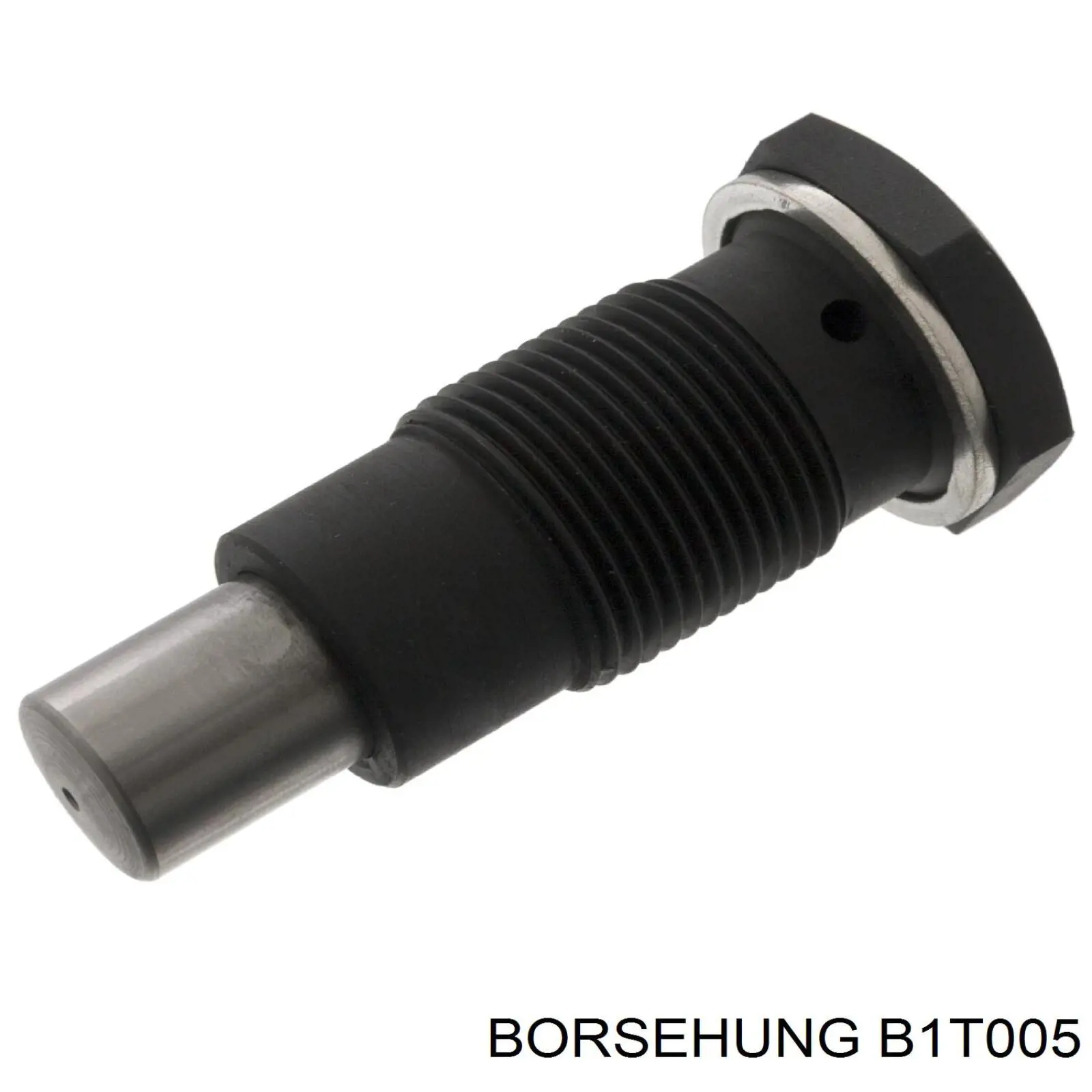 B1T005 Borsehung