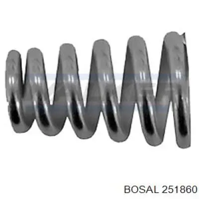 251860 Bosal