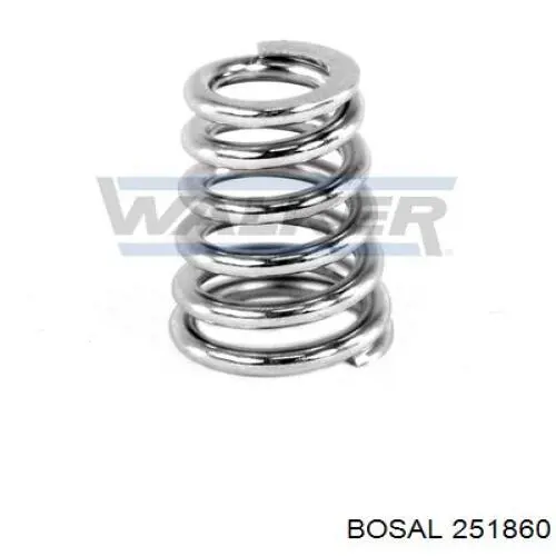 Купить 251860 Bosal Пружина выхлопной системы