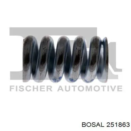 Пружина болта крепления коллектора Bosal 251863 цена, от 0.99 USD