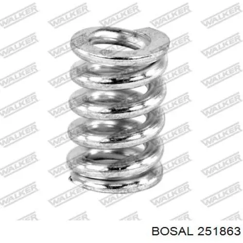 Пружина болта крепления коллектора 251863 Bosal