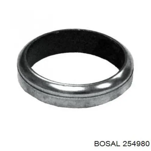  254980 Bosal