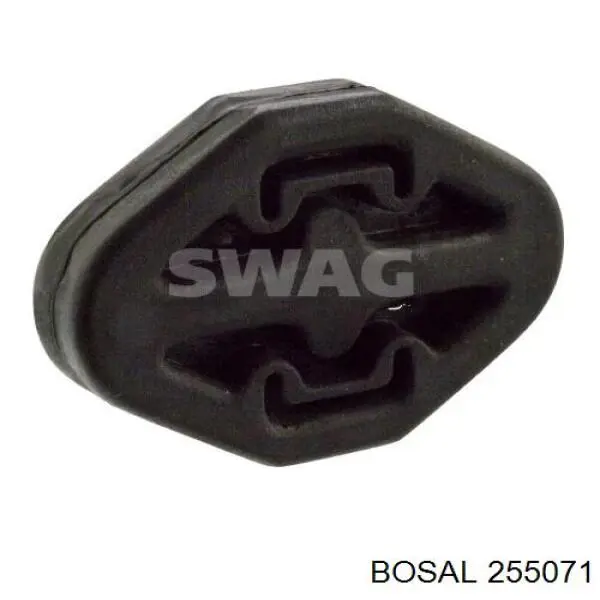  255071 Bosal