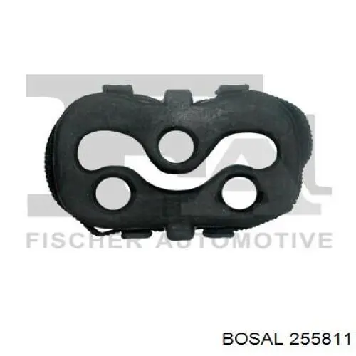  255811 Bosal